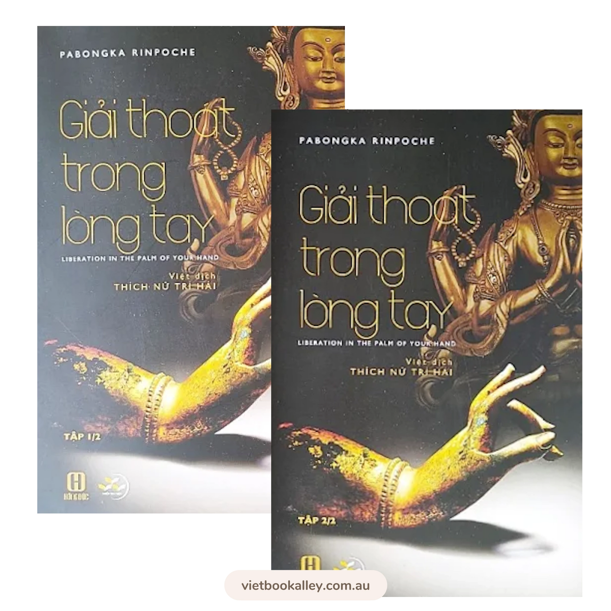 Giải Thoát Trong Lòng Tay (2 tập)