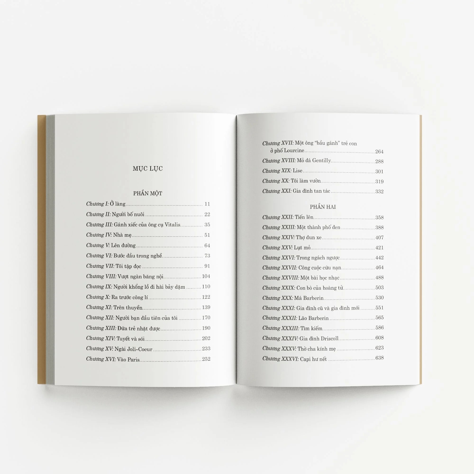 Không Gia Đình (Đông A - bản dịch Huỳnh Lý)