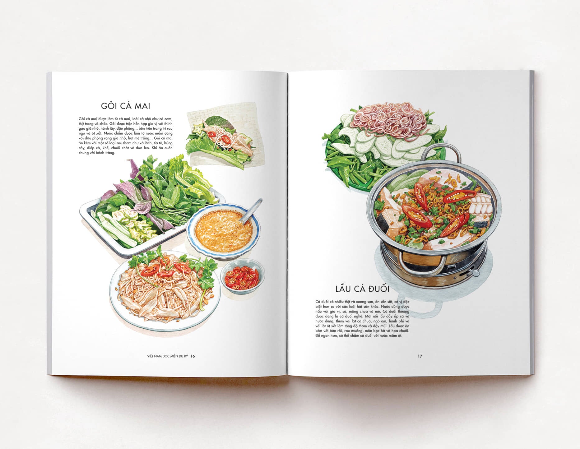 Việt Nam Dọc Miền Du Ký - Tập 2