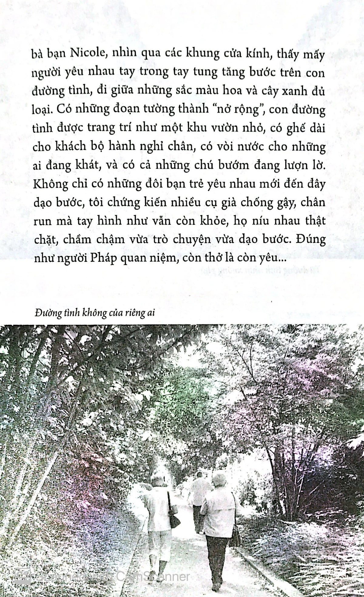 tra-lai-nu-hon-11