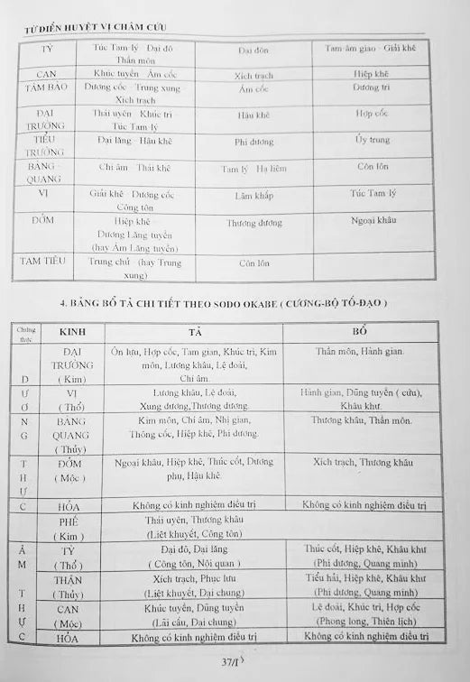 tu-dien-huyet-vi-cham-cuu-bia-cung-4