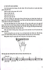 phuong-phap-hoc-ghi-ta-phan-co-ban-tai-ban-2024-8
