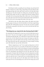 song-vung-vang-6