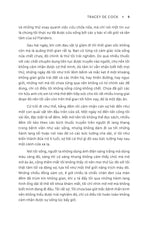 song-vung-vang-7