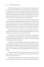 song-vung-vang-8