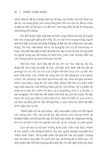 song-vung-vang-10
