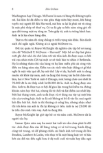 hang-luat-the-firm-6
