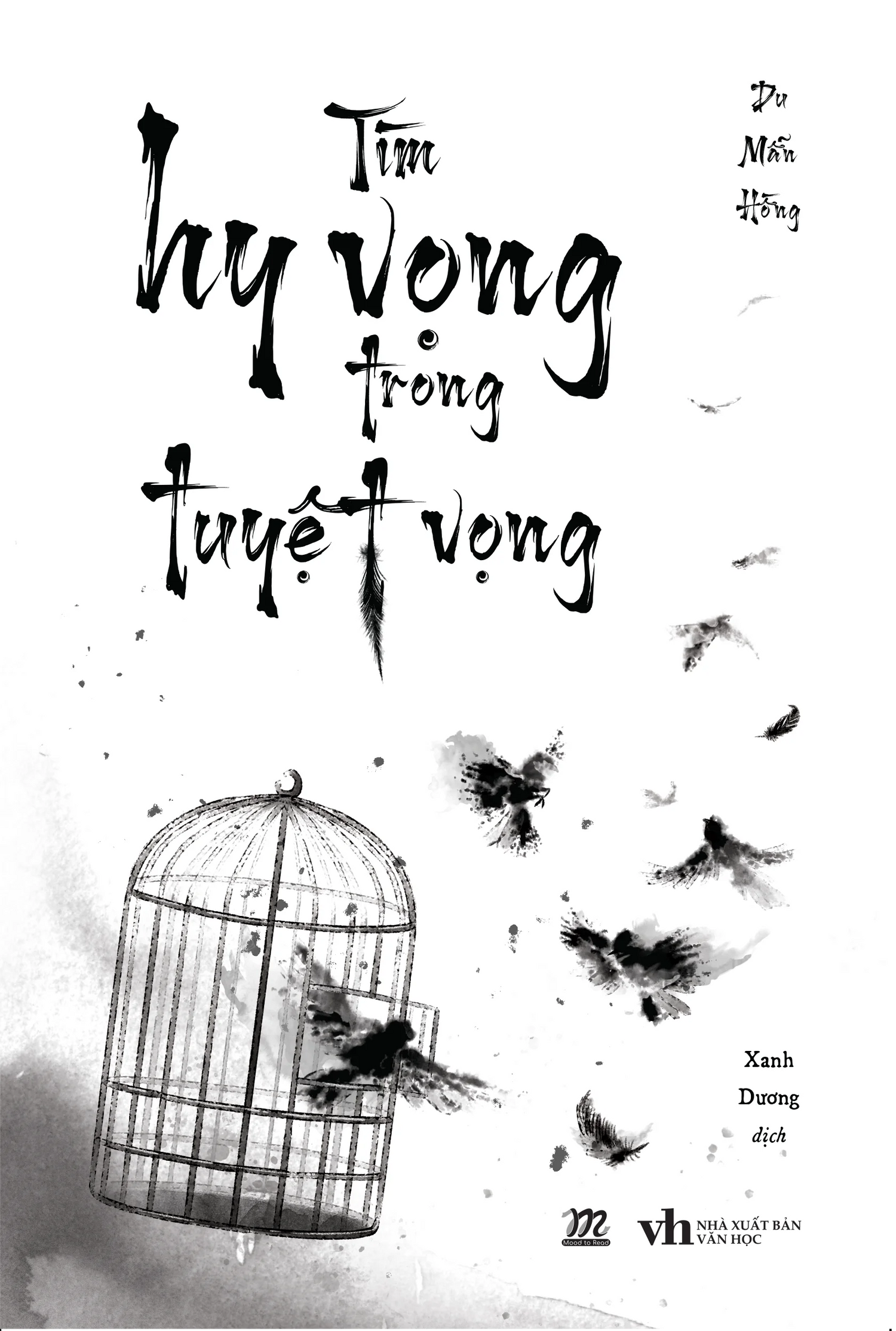 tim-hy-vong-trong-tuyet-vong-2