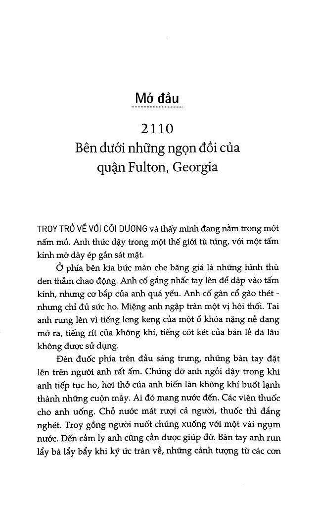 ca-truc-silo-thap-giong-2-6