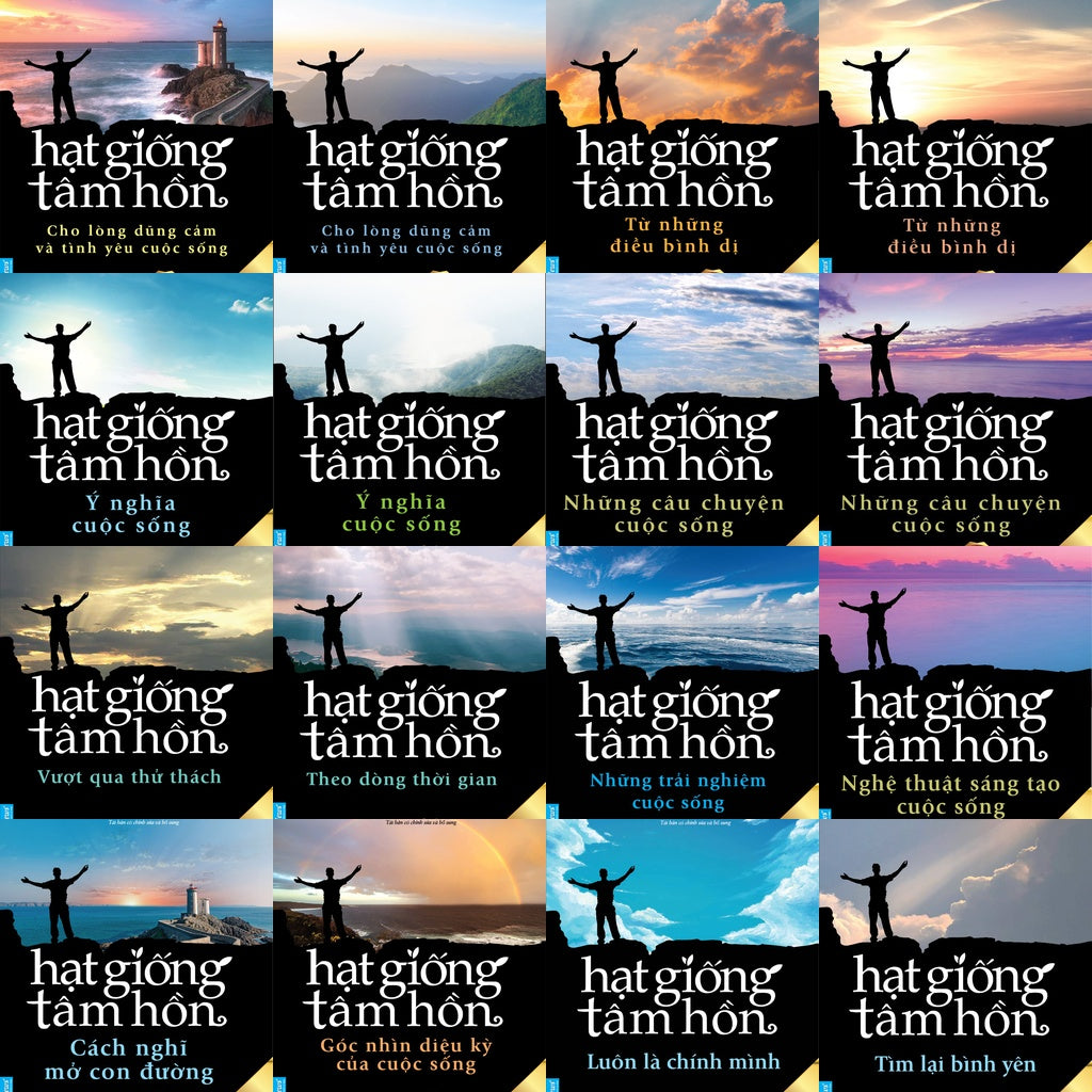 Hạt Giống Tâm Hồn (16 tập)