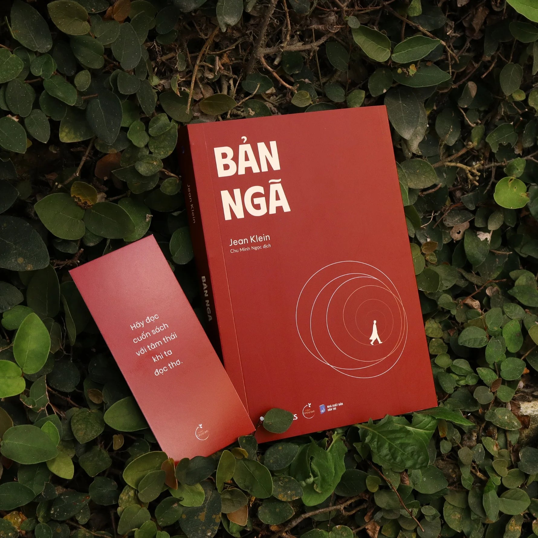 ban-nga-5