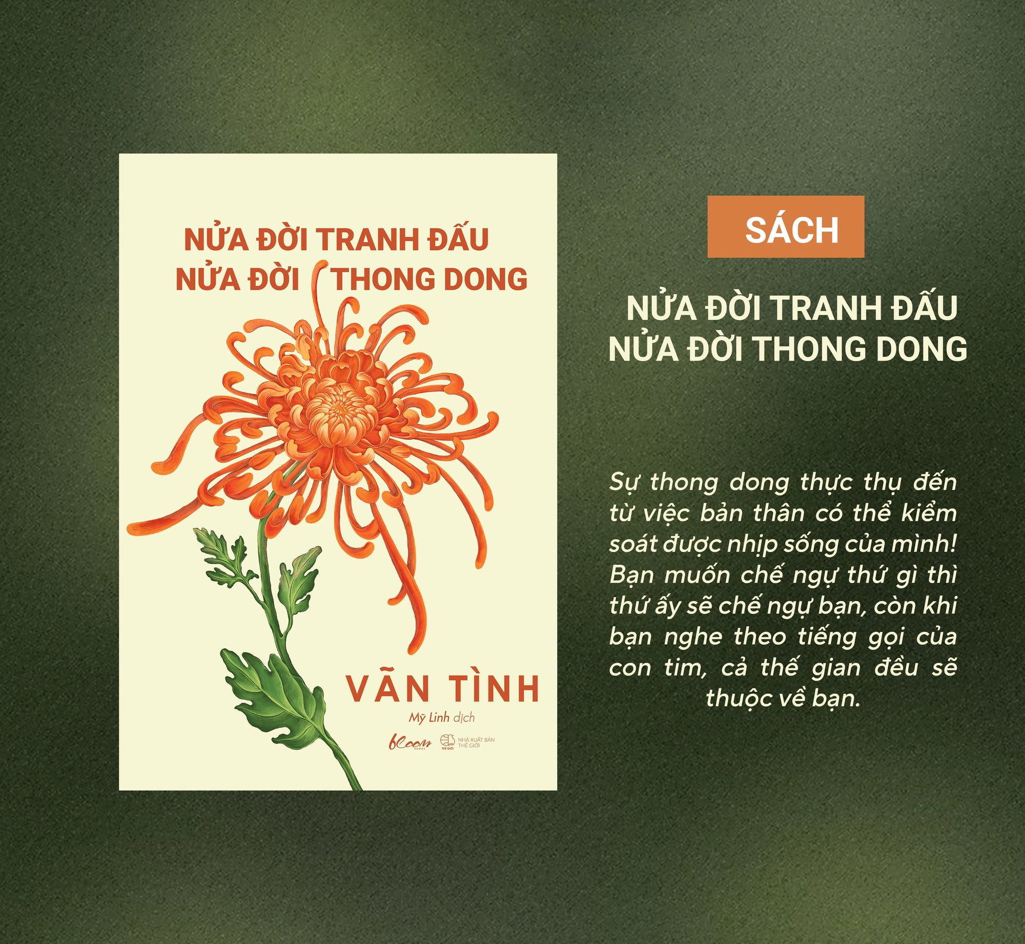 Nửa Đời Tranh Đấu - Nửa Đời Thong Dong