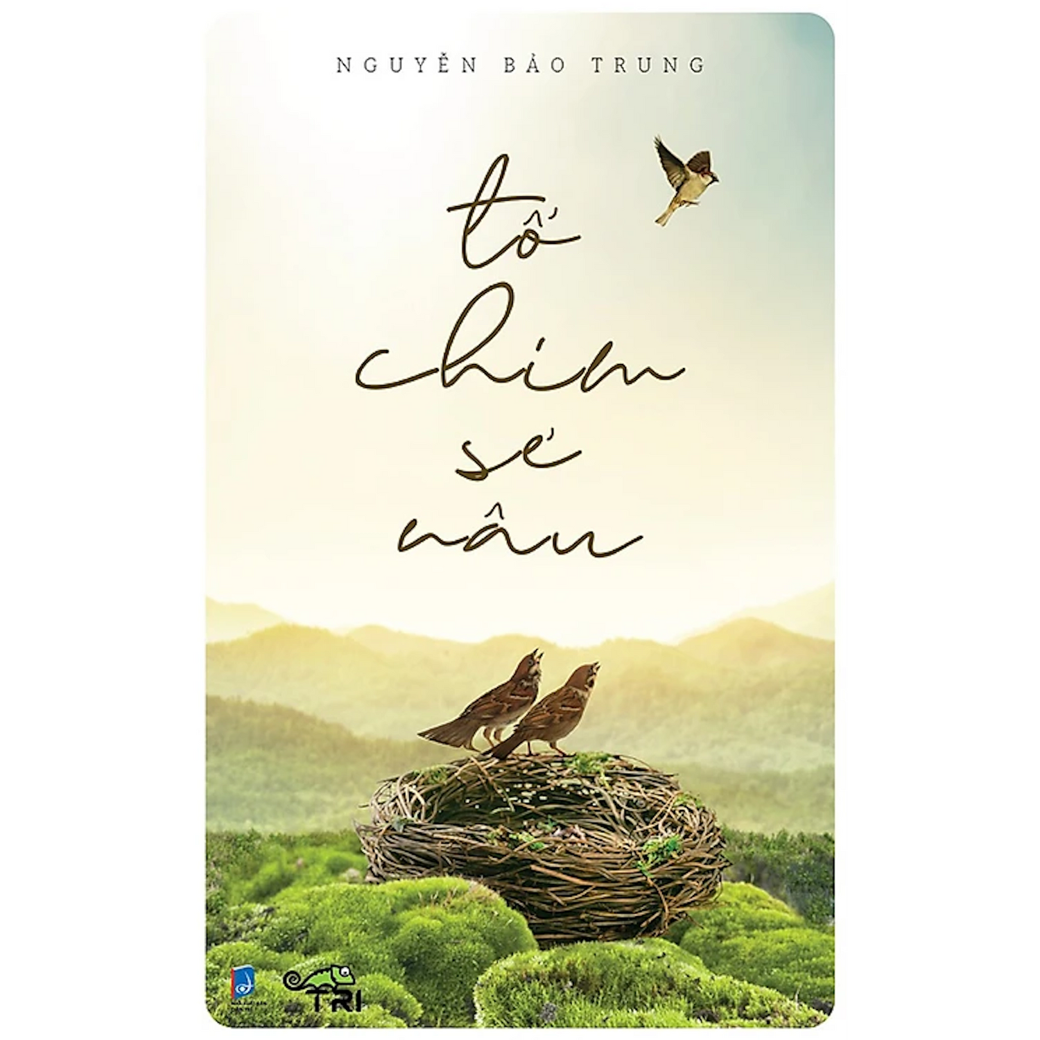 Tổ Chim Sẻ Nâu (Nguyễn Bảo Trung)