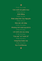 Ván Bài Lật Ngửa (Boxset 6 tập)