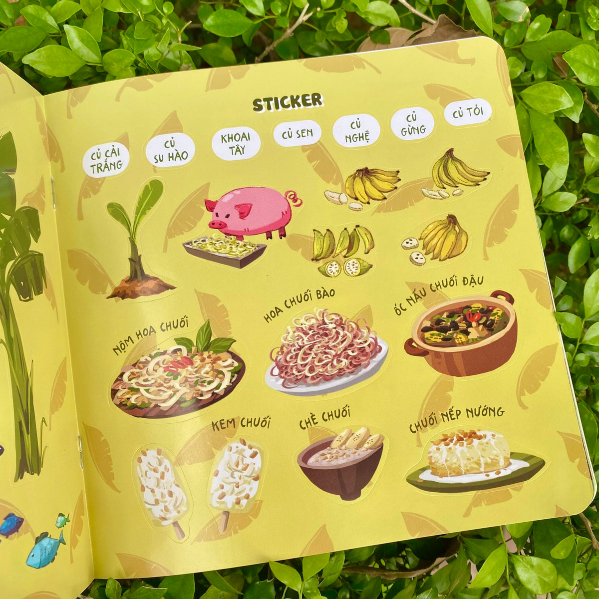 Hít Hà Mùi Đất Nước (bộ 6 cuốn)